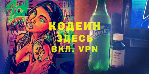 шишки Аркадак