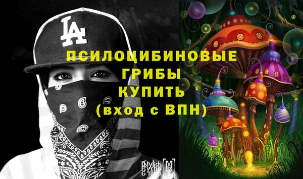 шишки Аркадак