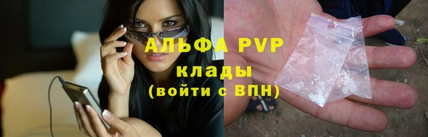 шишки Аркадак