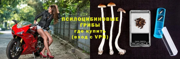 спиды Арсеньев