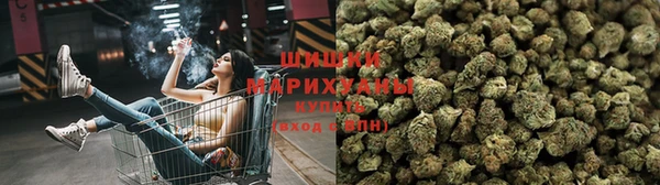 шишки Аркадак