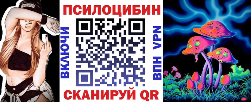 Купить закладки  Салаир  Псилоцибиновые грибы Magic Shrooms 